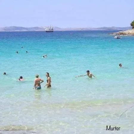 Cvita Blau - A45648 Zadar